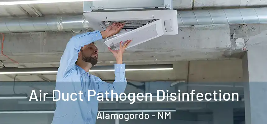 Air Duct Pathogen Disinfection Alamogordo - NM