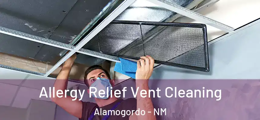  Allergy Relief Vent Cleaning Alamogordo - NM