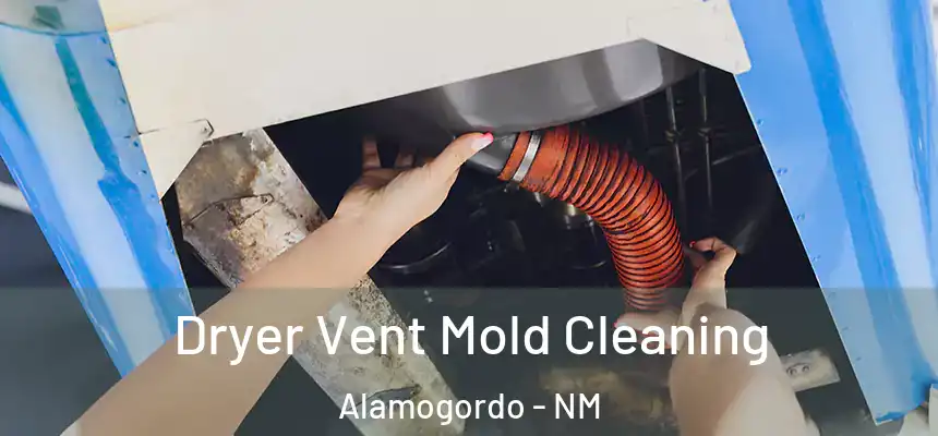  Dryer Vent Mold Cleaning Alamogordo - NM