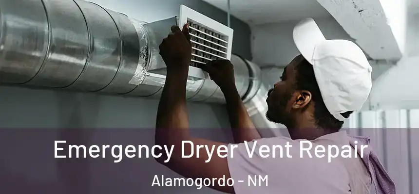  Emergency Dryer Vent Repair Alamogordo - NM