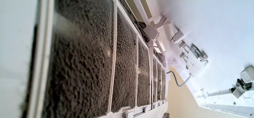 Preventive Air Duct Bacteria Removal in Alamogordo