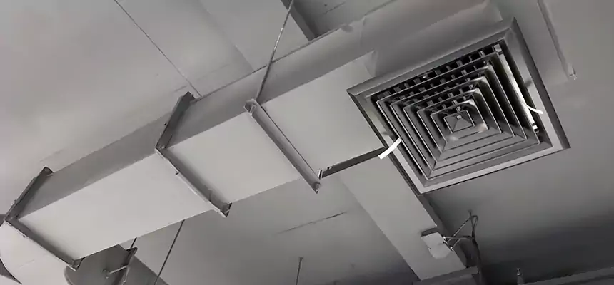 Restorative Allergy Relief Vent Cleaning – Coil, Blower & Housing Detail in Alamogordo