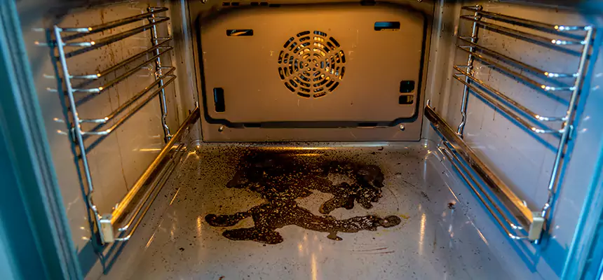 Our Dryer Vent Mold Cleaning Services in Alamogordo, NM