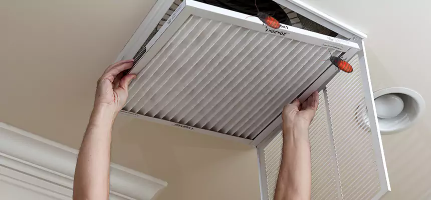 Our Insect Removal from Air Ducts Services in Alamogordo, NM