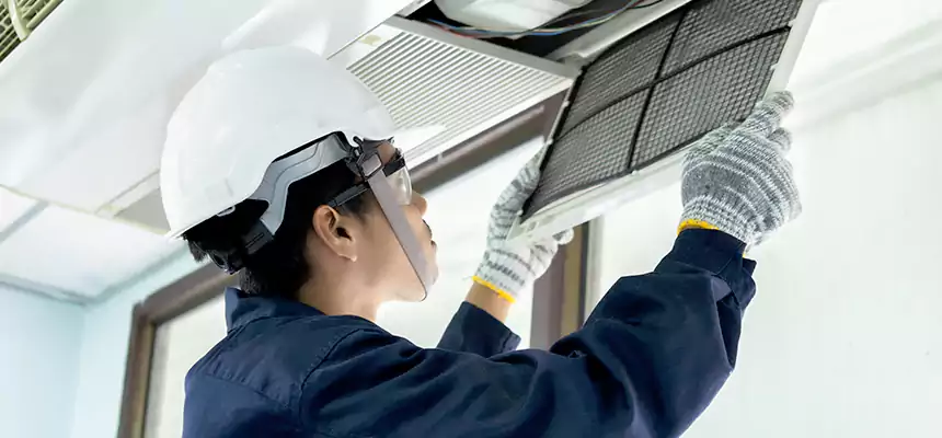 Our Mold & Mildew Removal from Air Ducts Services in Alamogordo, NM