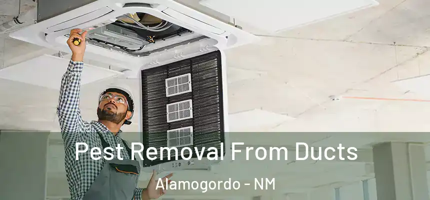  Pest Removal From Ducts Alamogordo - NM