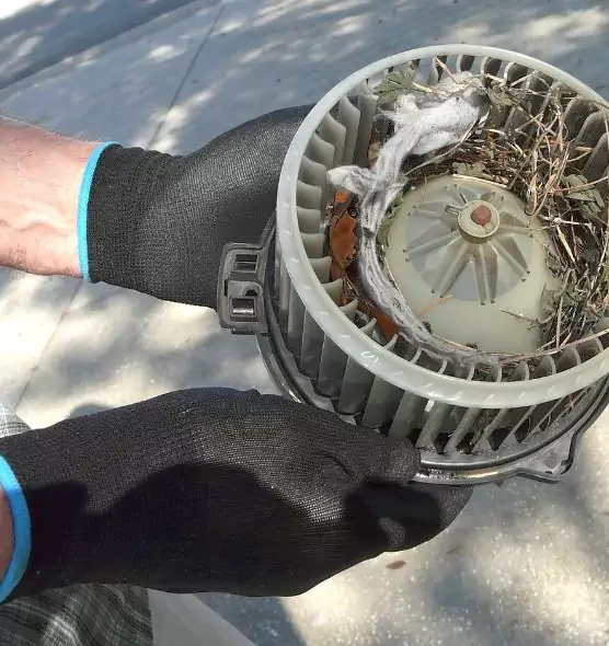 About Air Duct Mice Removal in Alamogordo, NM