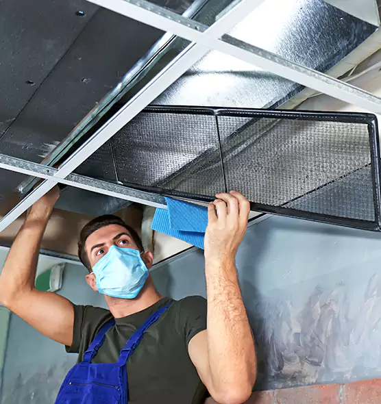 Professional Air Duct Pollen Cleaning in Alamogordo, NM