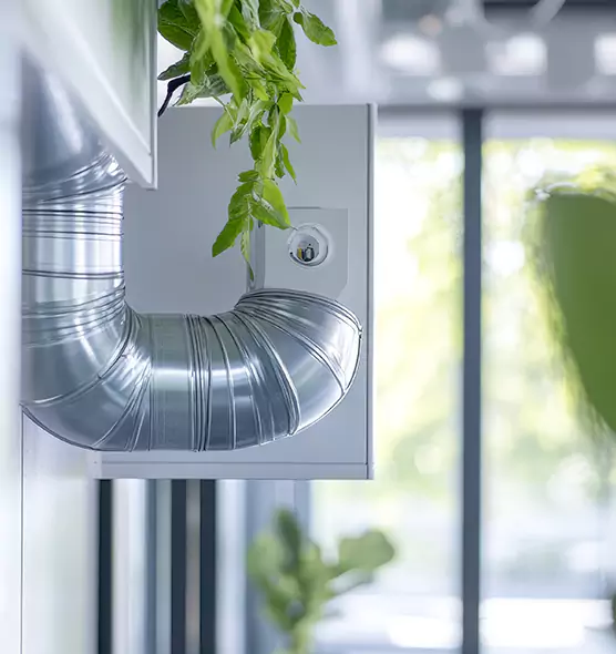 Professional Eco-Friendly Duct Cleaning Services in Alamogordo, NM