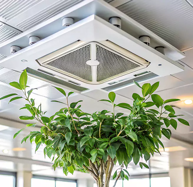 Why Homeowners & Businesses Trust Us in Alamogordo, NM?